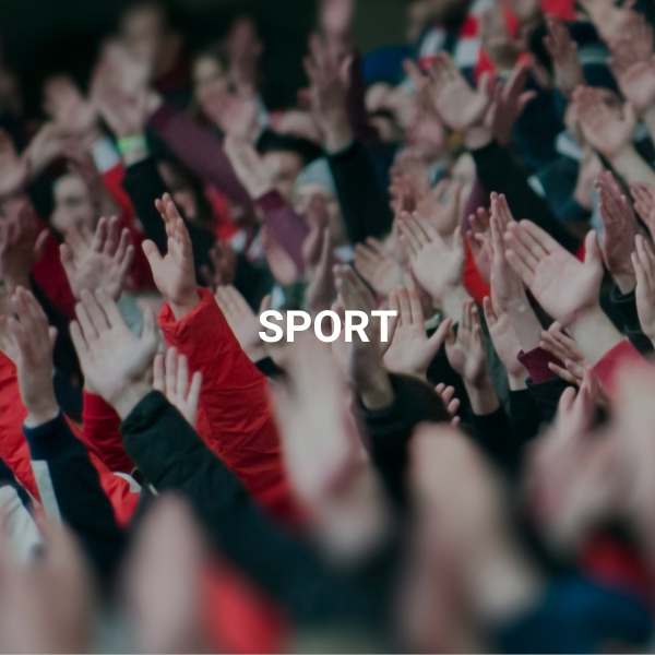 LOCAL AUTHORITIES (4)