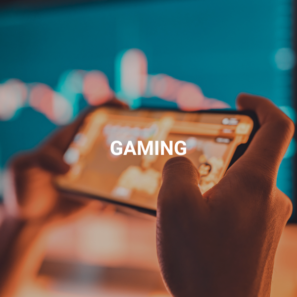 LOCAL AUTHORITIES (6)