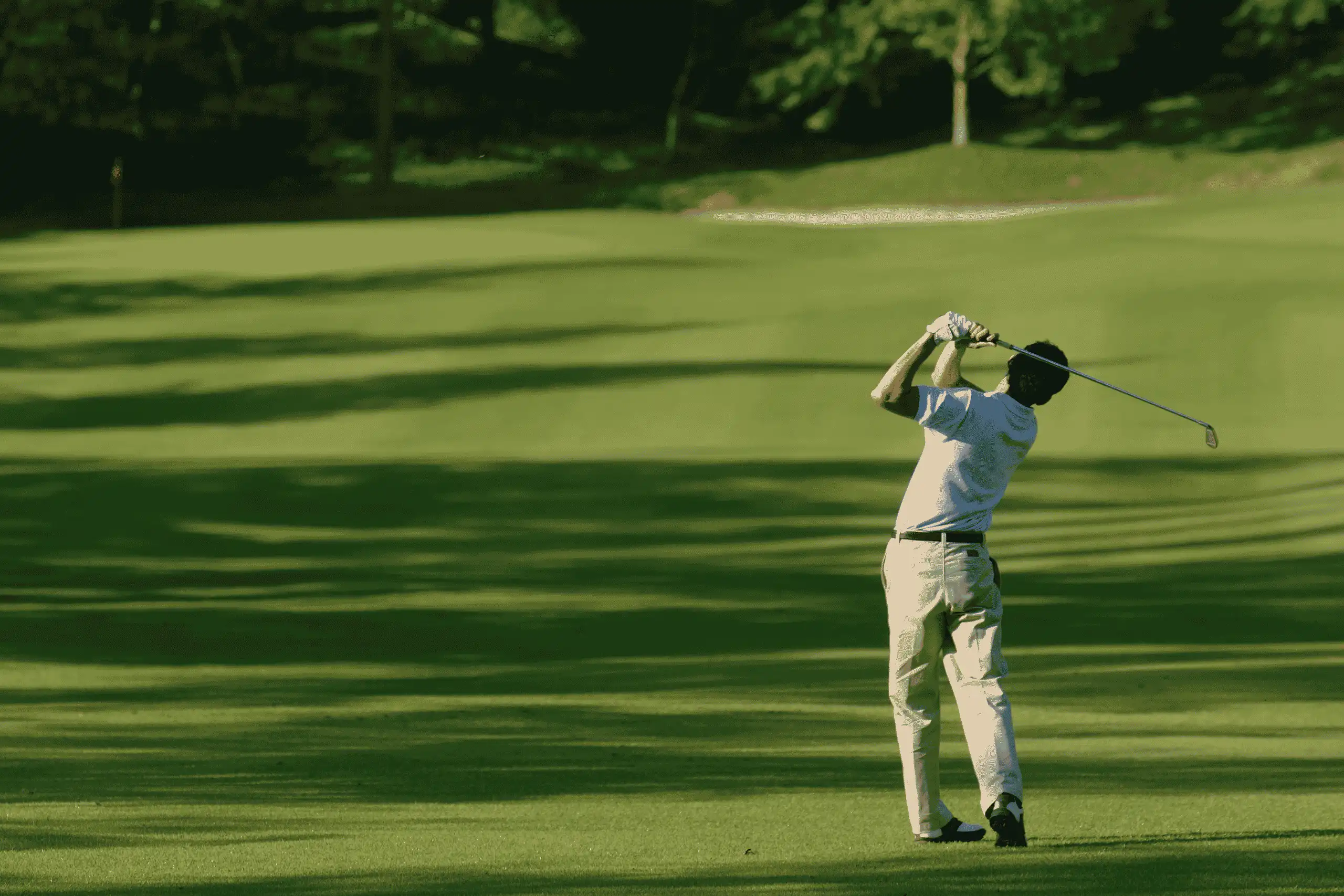 telecoms expert for hotels, golf clubs and restaurants